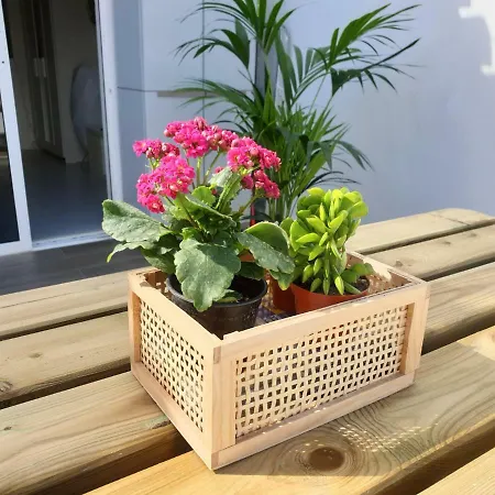 Le 491 Апартаменты