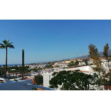 Le 491 Costa Adeje (Tenerife)